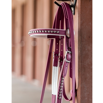 SHOW BRIDLE with Silver Studs made from Beta Biothane