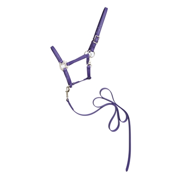 ****DISCOUNTED TACK*** $17 Purple Halter and Matching Lead - Large Pony Size