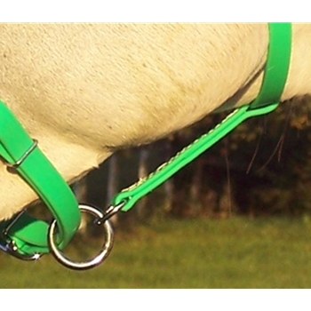 ENGLISH BRIDLE made from Beta Biothane (Solid Colored)