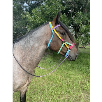 Mustang Garden Rainbow Sidepull Bitless Bridle