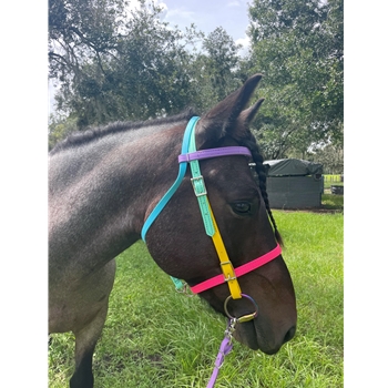 PICNIC BRIDLE or SIMPLE HALTER BRIDLE made from Beta Biothane