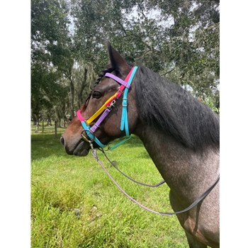 Traditional HALTER BRIDLE with BIT HANGERS made from BETA BIOTHANE (Solid Colored)