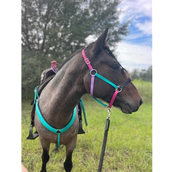 ROPE COMBO HALTER made from BETA BIOTHANE (Solid Colored)