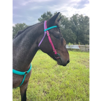 WESTERN BRIDLE (Full Browband) made from BETA BIOTHANE (Solid Colored