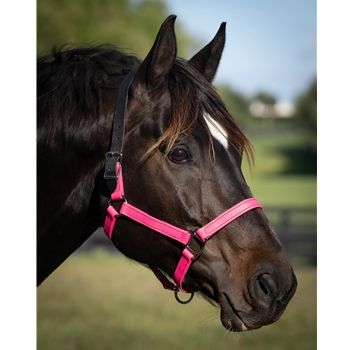 READY MADE - BLACK HALTER Made from Beta Biothane