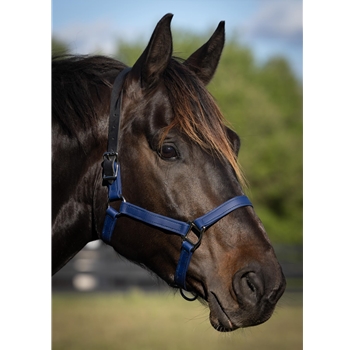 READY MADE - BLACK HALTER Made from Beta Biothane