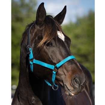 READY MADE - BLACK HALTER Made from Beta Biothane