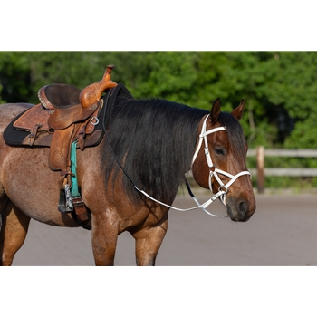 READY MADE - BLACK ENGLISH BRIDLE and REINS made from Beta Biothane