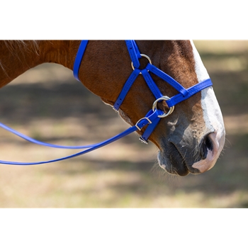 READY MADE - BLACK ENGLISH BRIDLE and REINS made from Beta Biothane