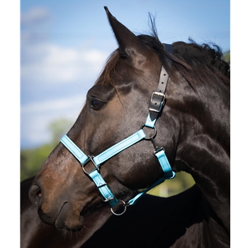 READY MADE - BLACK HALTER Made from Beta Biothane