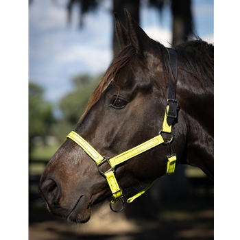 READY MADE - BLACK HALTER Made from Beta Biothane