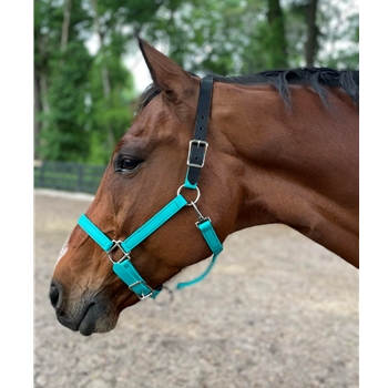 READY MADE - BLACK HALTER Made from Beta Biothane