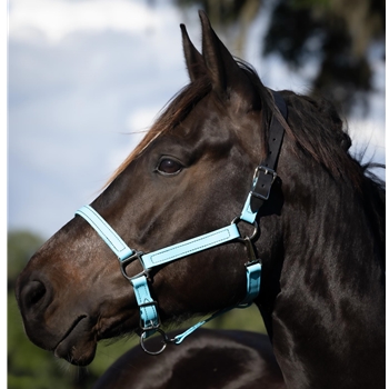 READY MADE - BLACK HALTER Made from Beta Biothane