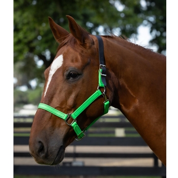 READY MADE - BLACK HALTER Made from Beta Biothane