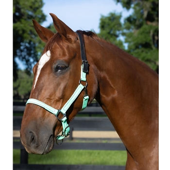 READY MADE - BLACK HALTER Made from Beta Biothane