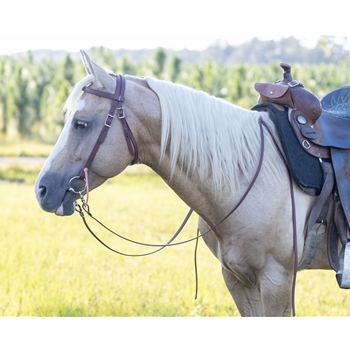 WESTERN BRIDLE (Full Browband) made from BETA BIOTHANE (Solid Colored