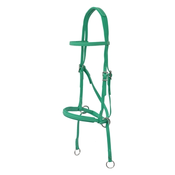 Kelly Green Bridle made from Beta Biothane