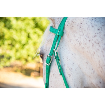 Kelly Green Bridle made from Beta Biothane