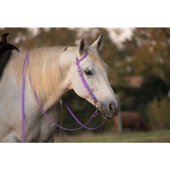 purple Bridle made from Beta Biothane
