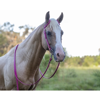 Raspberry Pink  RIDING REINS made from BETA BIOTHANE