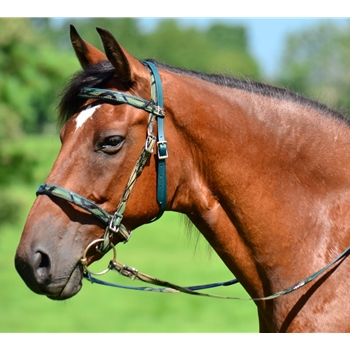 ENGLISH TRAIL BRIDLE with CAMOUFLAGE Biothane