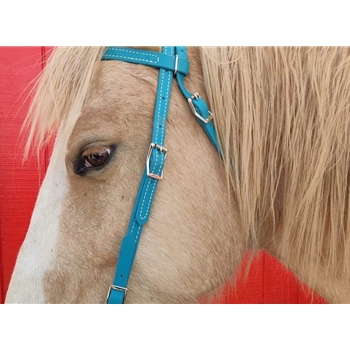 Aqua  Bridle made from Beta Biothane