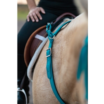 Aqua WESTERN BREAST COLLAR made from BETA BIOTHANE