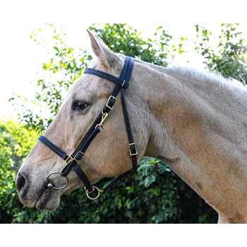 Black  Bridle made from Beta Biothane