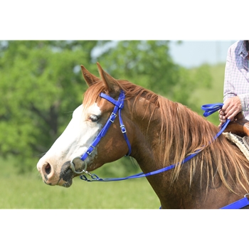 Rênes Beta Biothane Super Grip - Royal Blue - Longueur 7.5 Ft - Neuves