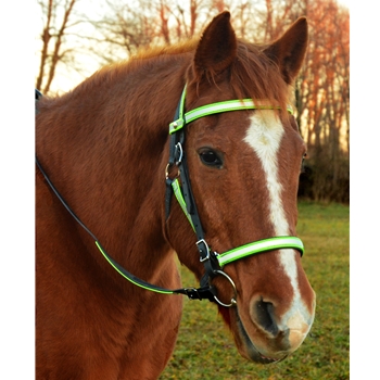 Quick Change HALTER BRIDLE with Snap on Browband made with REFLECTIVE DAY GLO Biothane
