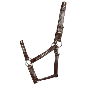 STABLE HALTER & LEAD made from LEATHER