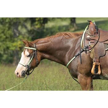 HTraditional HALTER BRIDLE made with REFLECTIVE DAY GLO Biothane