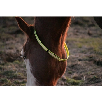 Buy Turnout Neck Collar with Leather Breakaway for Horses - Two Horse Tack