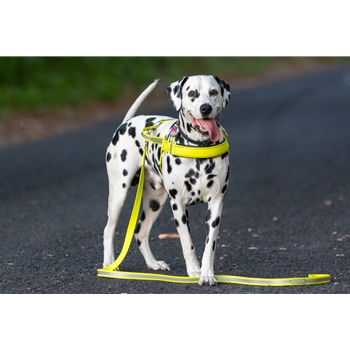 REFLECTIVE Beta Biothane Dog Harness 