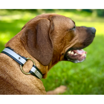 Center Ring Safety DOG COLLAR made from BETA BIOTHANE with REFLECTIVE DAY-GLO