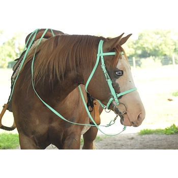 Mint/Seafoam Green Bridle made from Beta Biothane