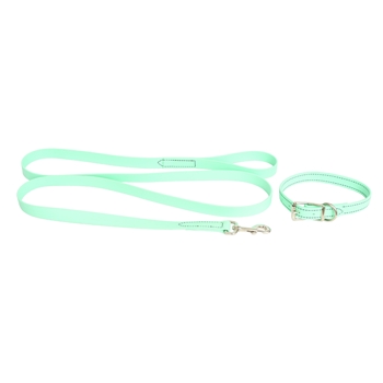 DOG COLLAR made from Mint/Seafoam Green BETA BIOTHANE