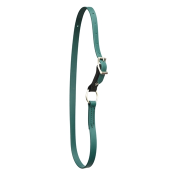 Hunter/Dark Green Beta Biothane Horse Neck Collar - Any Size, Any Style