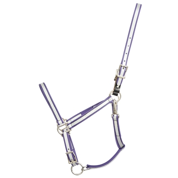 Reflective Beta Biothane Halter - Any Size, Any Style